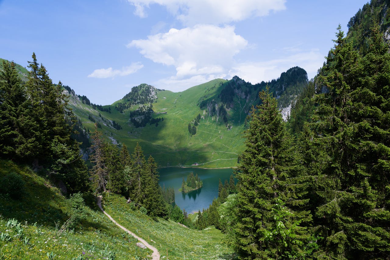 services-04 Breathtaking Swiss landscape with lush greenery, pristine lake, and majestic mountains.