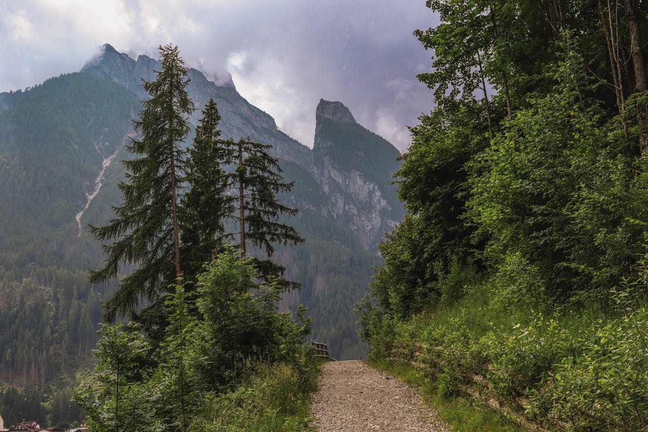services-bg A tranquil mountain path surrounded by lush green forest and towering peaks under a cloudy sky.