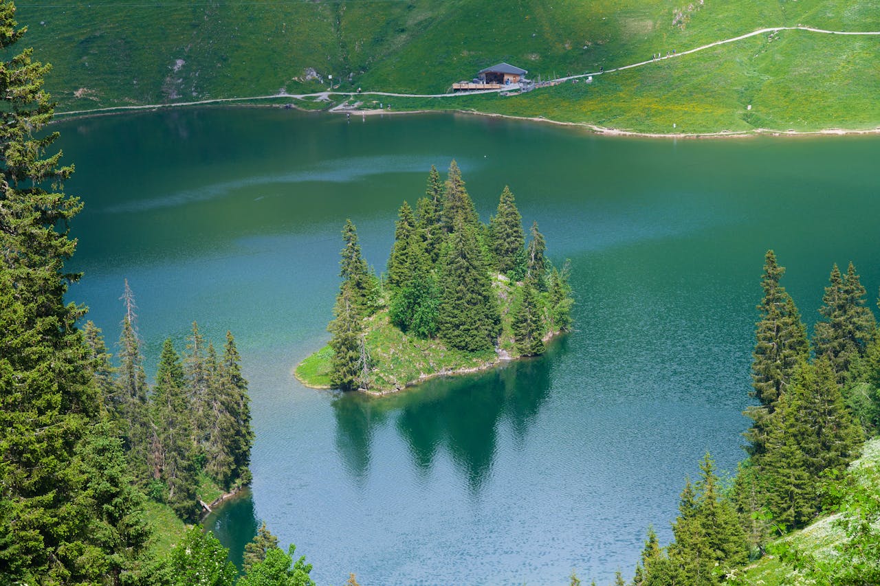 Scenic aerial view of a lush green forest island in a Swiss alpine lake surrounded by mountains.