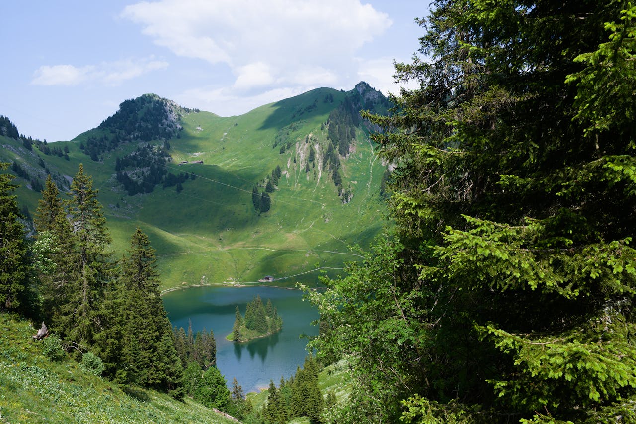Breathtaking Alpine landscape with lush greenery and a serene lake in Switzerlands summer.
